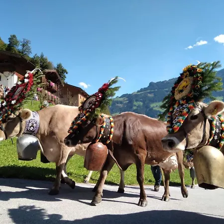 Privat bolig Haus Claudia