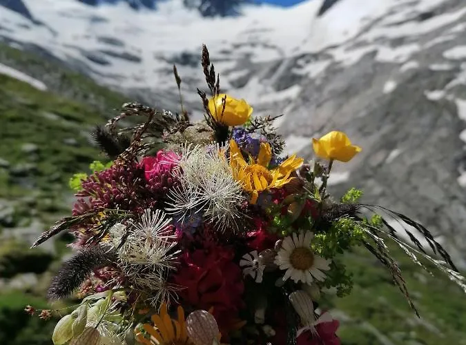 Haus Claudia Alloggio in famiglia